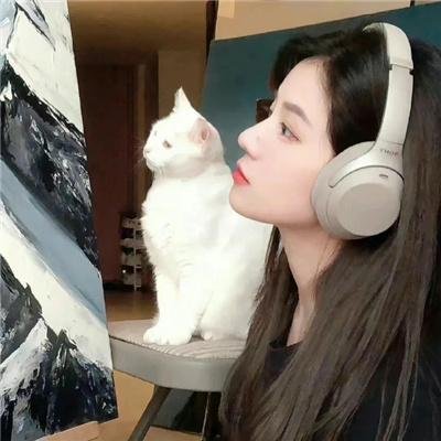 小象西娜